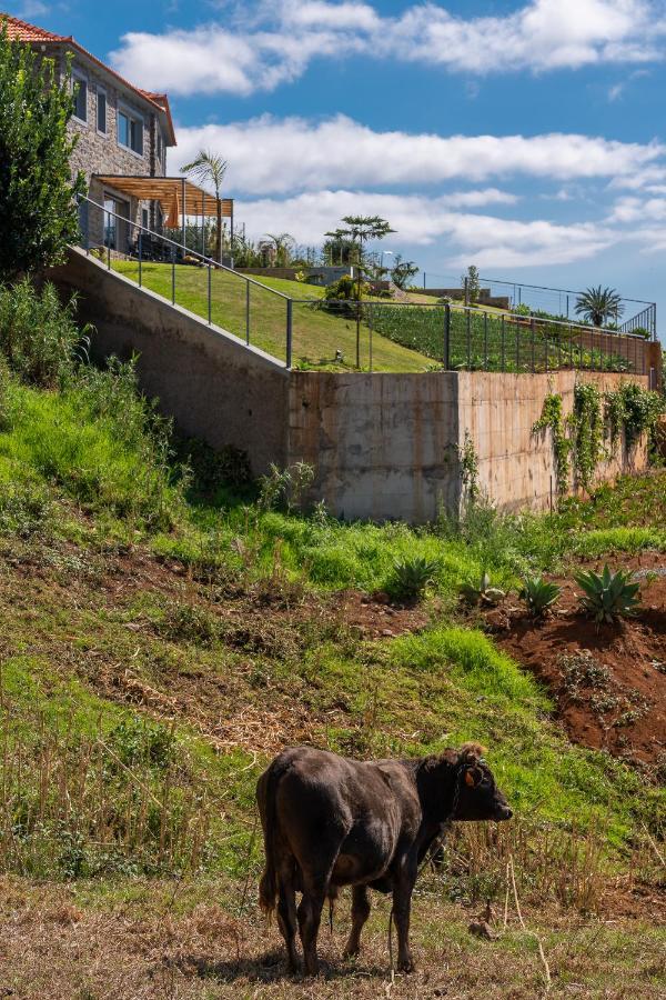 Villa Fauna - Nature & Tranquility - Heated Pool Optional Prazeres Exterior photo